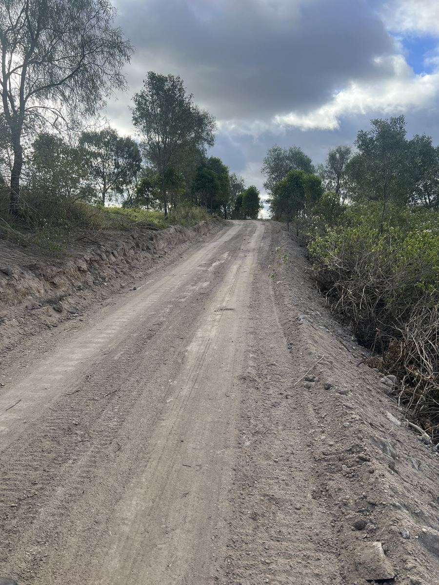 A gravel access track running uphill between scrub and trees on a rural block