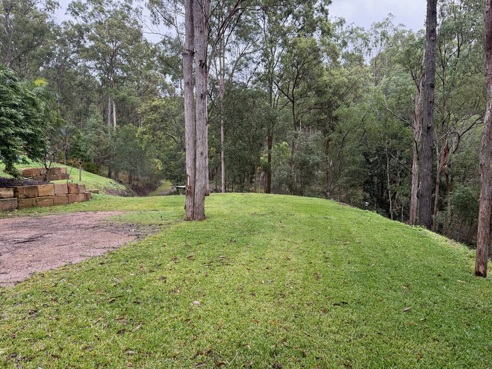 A flat grassed pad cut into a sloping bush block, a sandstone retaining wall and tall gum trees around it